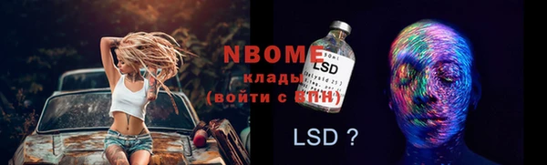PSILOCYBIN Алзамай