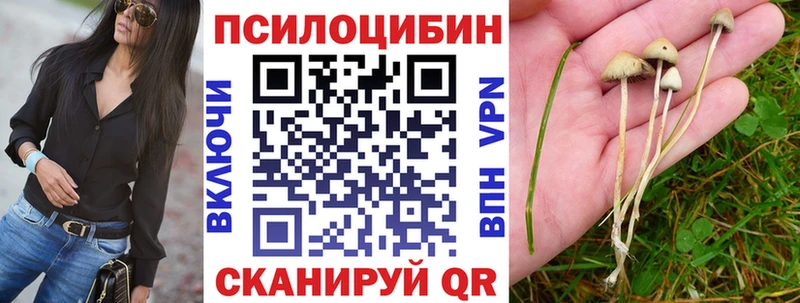 Псилоцибиновые грибы прущие грибы  цена   блэк спрут как войти  Тутаев 